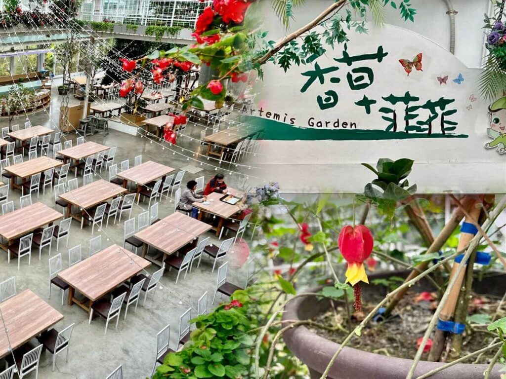 香草菲菲